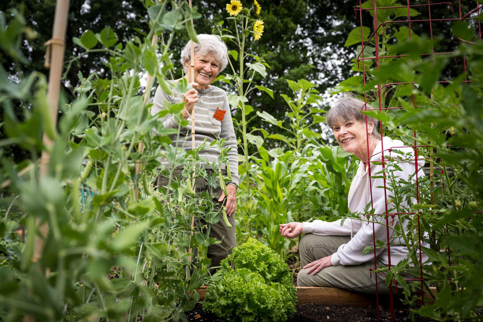 Two women in a garden